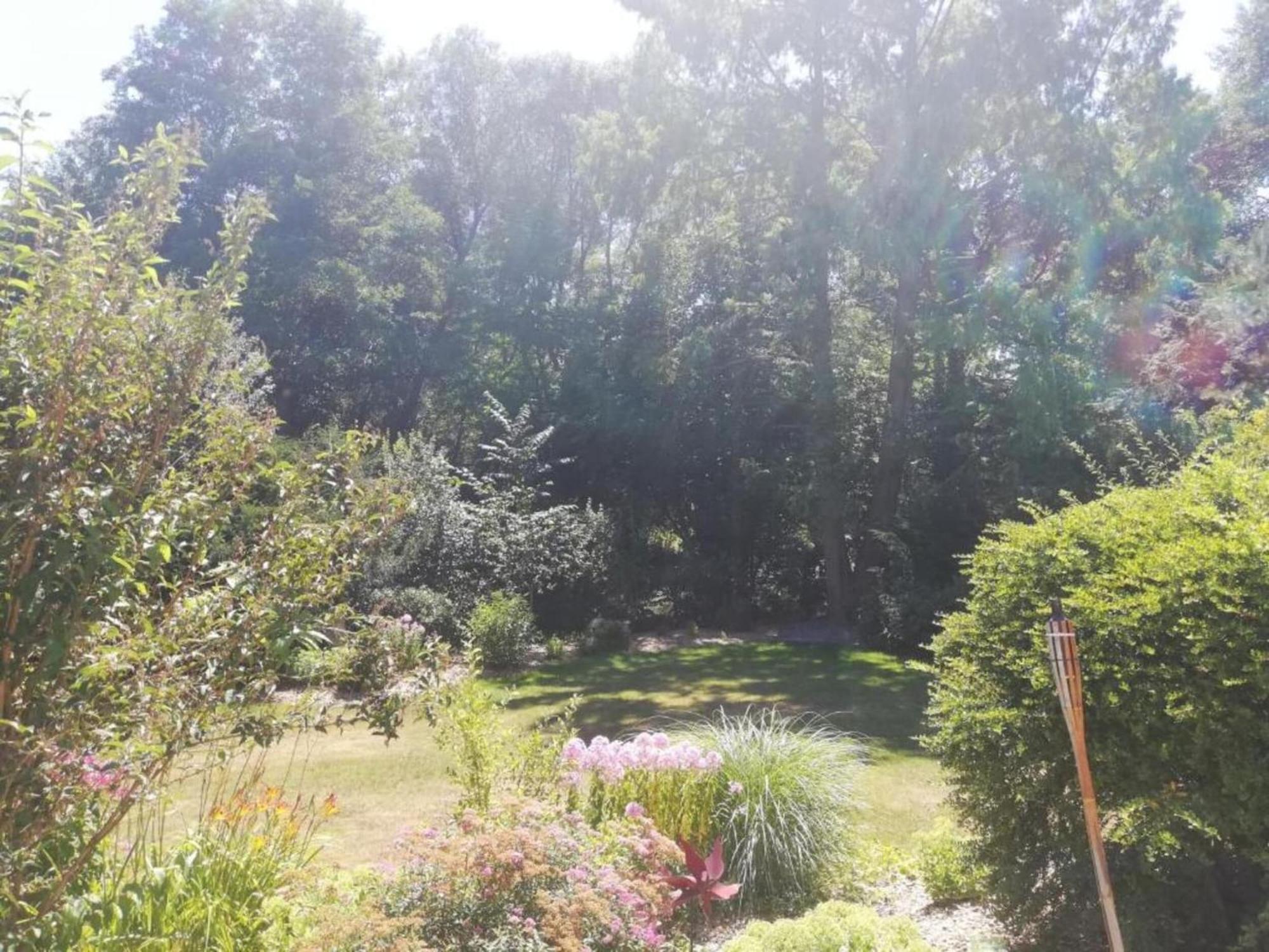 Cozy Pet Friendly Holiday Home In T Nnesberg Tannesberg Экстерьер фото