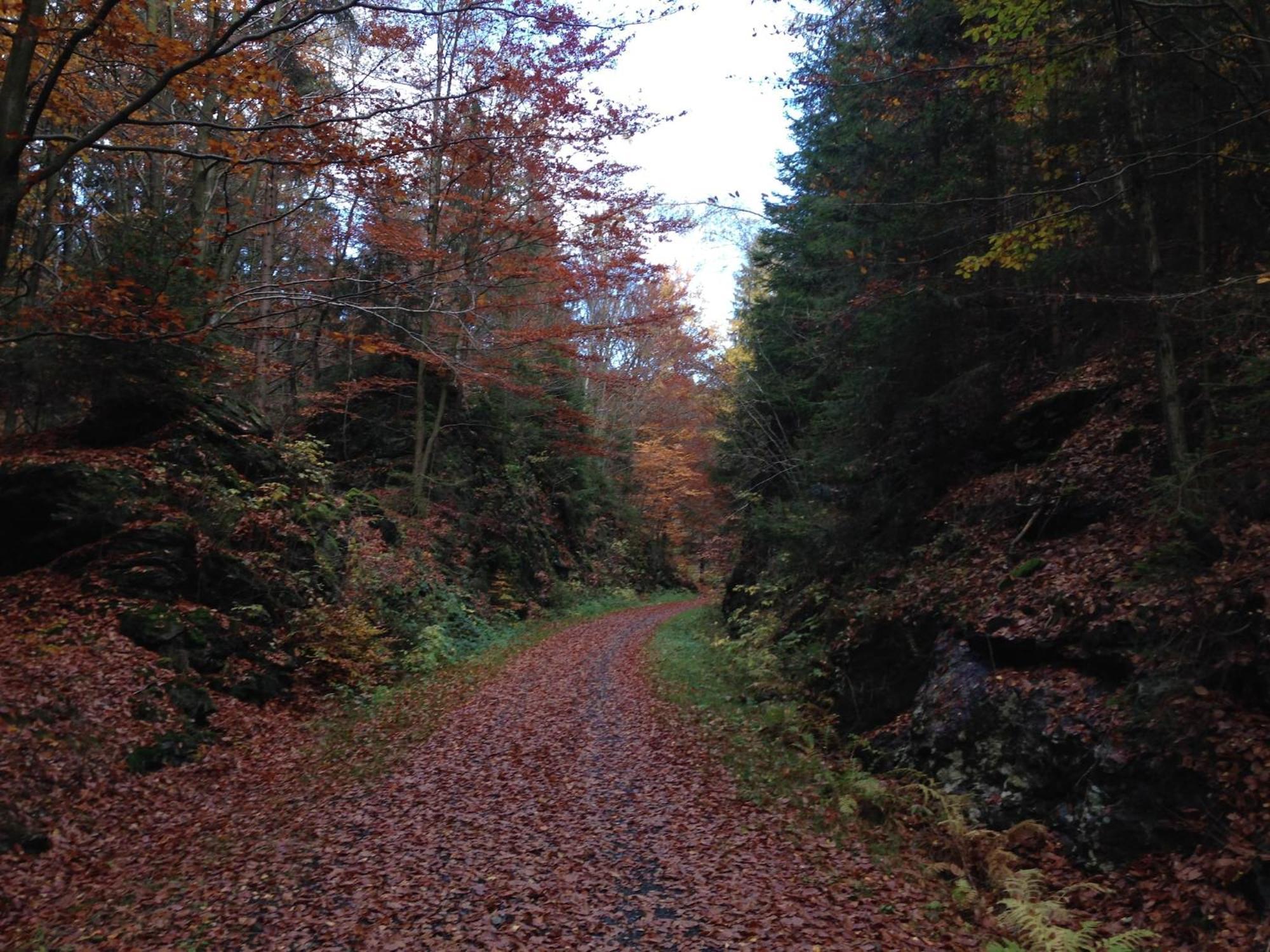 Cozy Pet Friendly Holiday Home In T Nnesberg Tannesberg Экстерьер фото