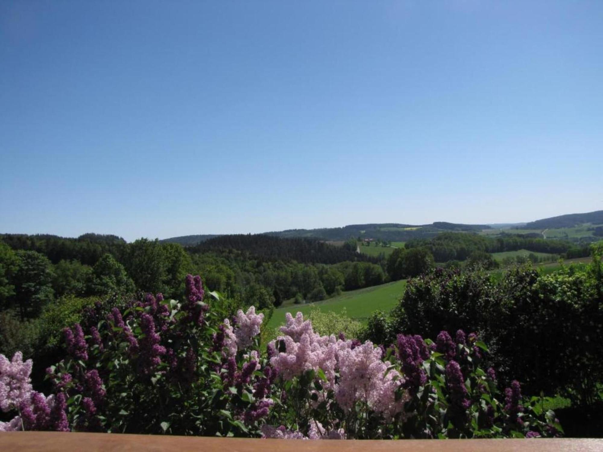 Cozy Pet Friendly Holiday Home In T Nnesberg Tannesberg Экстерьер фото